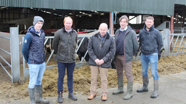 Silage losses can equal 40% of the nutritive value of grass