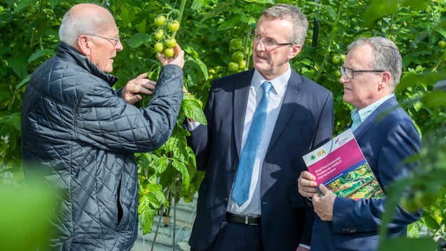 Jim Power: 'Absolutely disgraceful' if we need horticulture imports