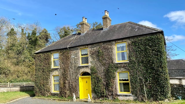 'Some of the best soils in the country' for sale in Kildare