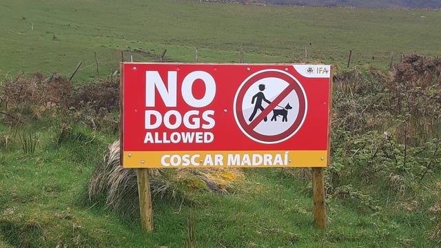 Call to ban dogs from farmland and hills before summer