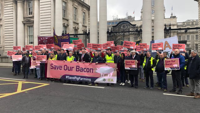 Pig farmers are 'staring into the abyss' - Gallie