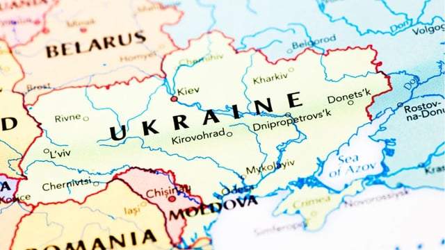 Ukraine invasion: How can we support Ukrainian people and their pets?
