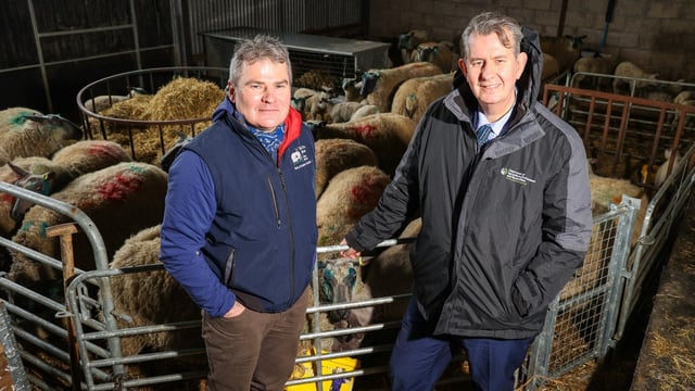 NI: £300m Single Application funding window opens today