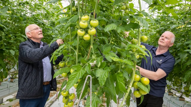 Horticulture report outlines intense pressure on domestic producers