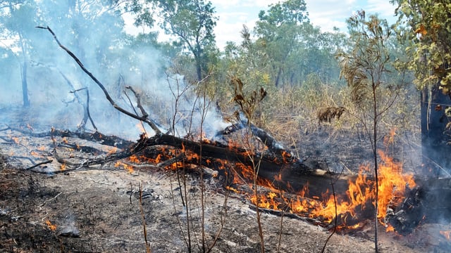 IPCC: Emissions must be cut to prevent threats to species and ecosystems