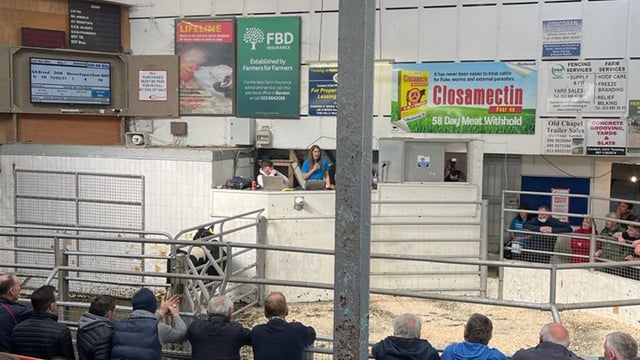 Over €35k raised for cancer research at charity livestock sale