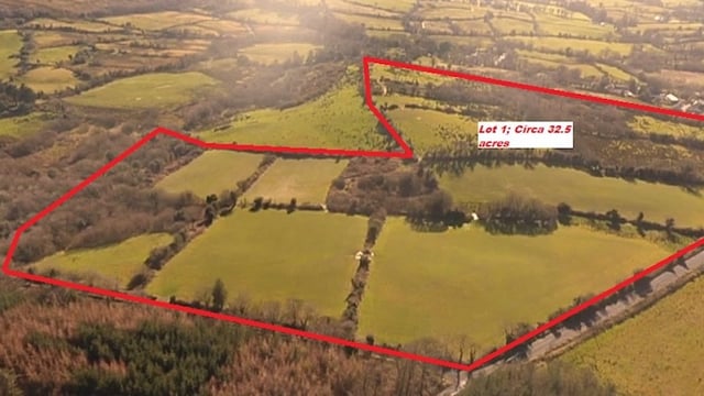 39ac roadside holding for sale in Sixmilebridge