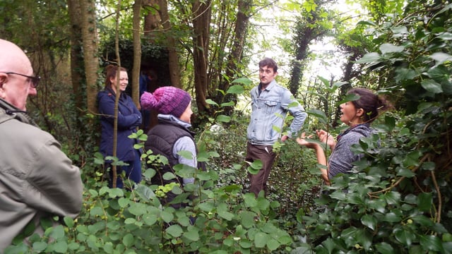 Ambassador farmers host walks for exchange of ideas