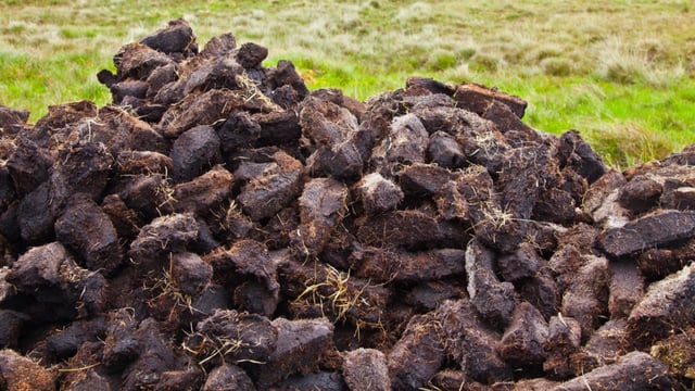 3,501 receive payment under turf cutting compensation scheme