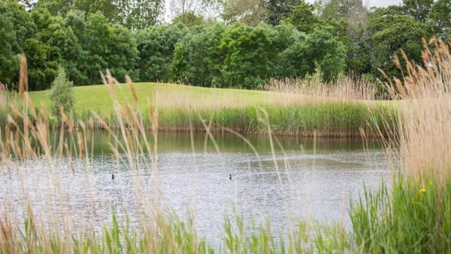 Tolerance of 'double-standards' undermining water quality - ICMSA