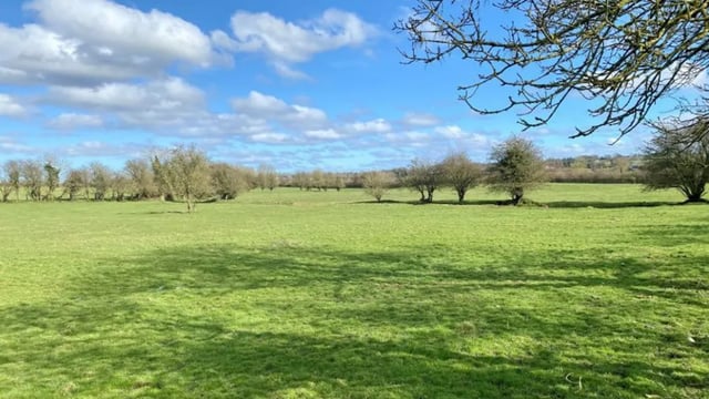 'Coveted' Kildare farm sells for €1.85m at auction