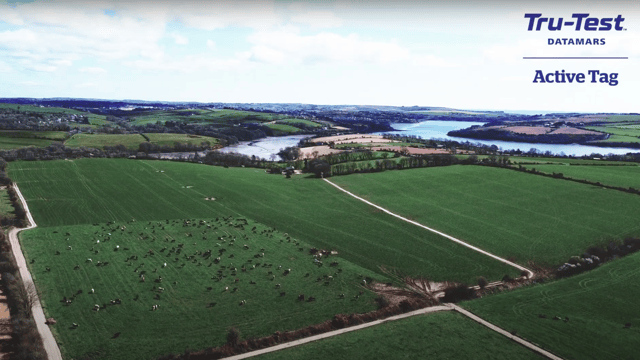 Kinsale based dairy farmer discusses how technology has revolutionised his livestock management