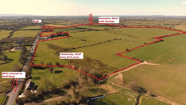 'Truly outstanding' Bruff roadside farm for sale