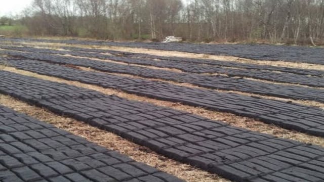 'One claim per household' under turf-cutting scheme - Noonan