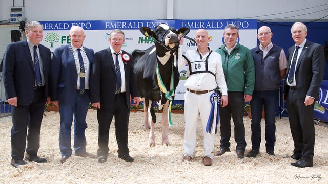 Baldonnel herd shines once again at Emerald Expo