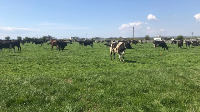 Building a rainy-day fund for your farm