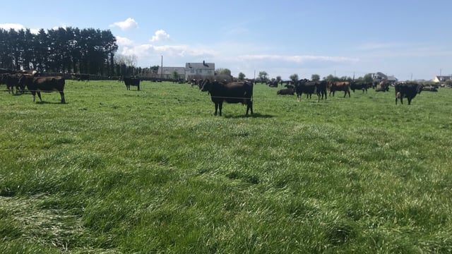 Attracting and retaining people on dairy farms