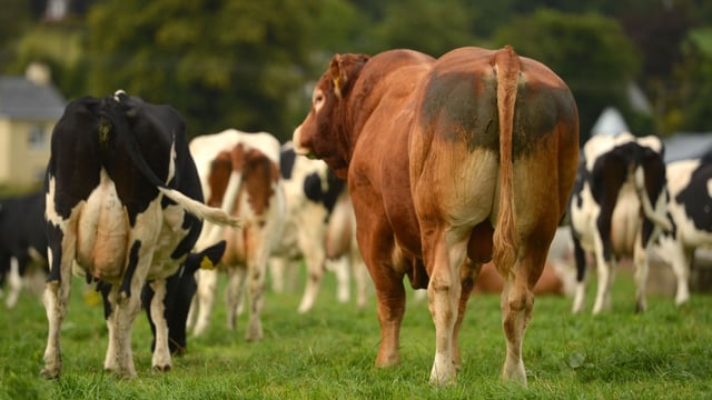 Reminder: NI Agricultural Census deadline approaching