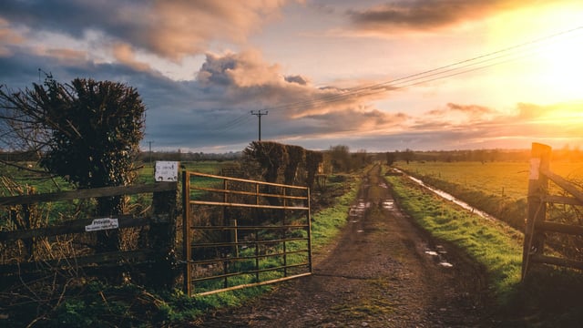 NI: Farmers For Action issues farmgate-supply warning for food processors