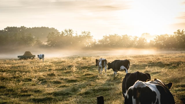 New closing date for Organic Farming Scheme announced