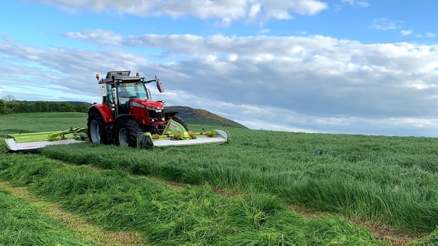 Silage season underway - but what about quality?