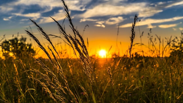 UN: Ukraine grain export deal could be signed next week