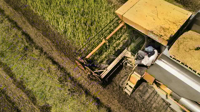 Bayer joins pledge to end world hunger