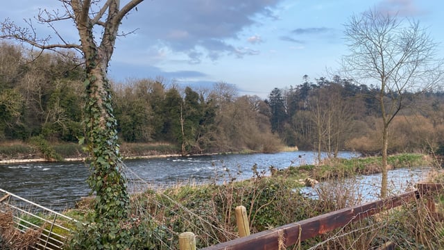 Dawn Meats' planning-application process for waste-water facility 'ongoing'