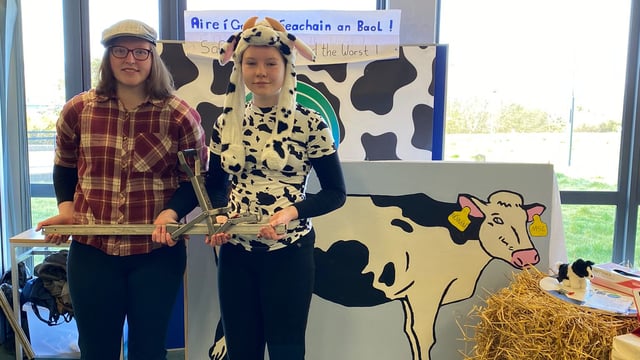 Calving jack safety device in Student Enterprise Award finals