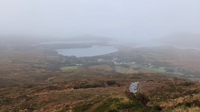 Biodiversity - hunting invaders from Connemara