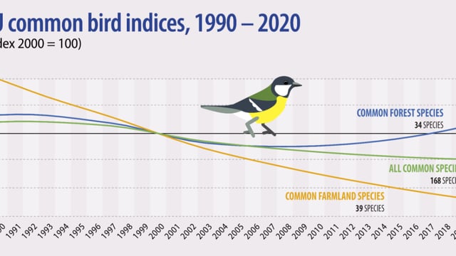 Population of common farmland birds in continued decline