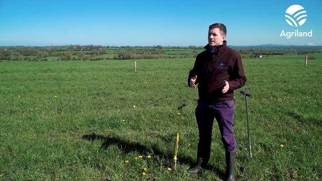 Video: Farm sequestering €37,000 worth of carbon/year