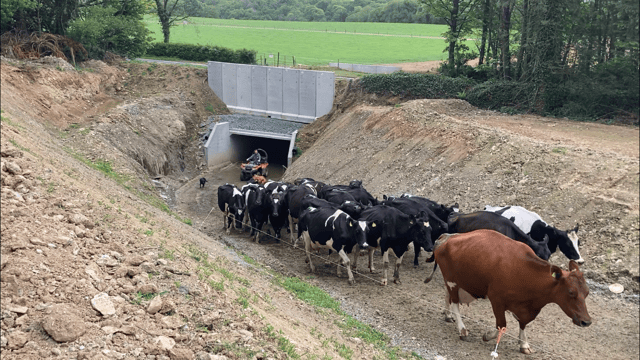 Infrastructure Focus: Opening up safe and easy access to 170ac with an underpass