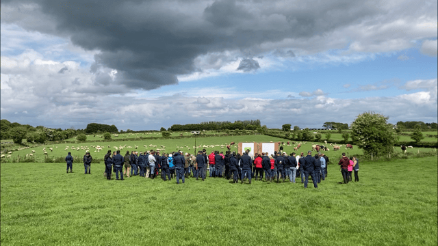Video: IGA sheep conference and farm walk returns in person