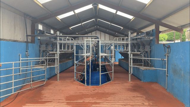 Buildings Focus: 16-unit parlour for 107 cows in Cork