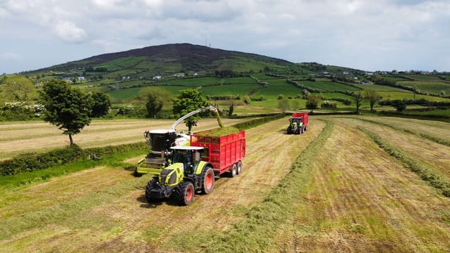 Pit silage: How much will it cost per acre this year?