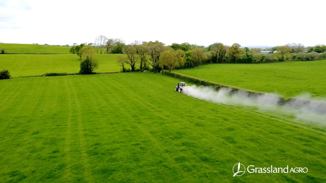 What to Consider Before Adding Clover to Your Sward