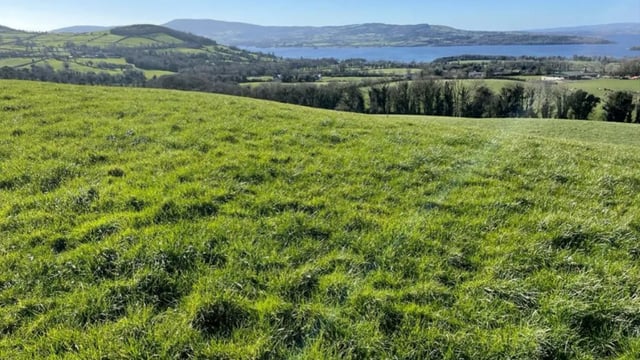 Dairy farmer claims 167ac Tipperary holding at auction
