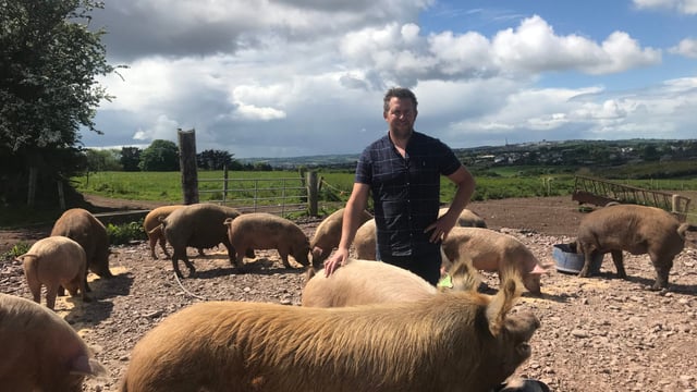 Dairy throwback: Cork dairy farmer diversifies with free-range pigs