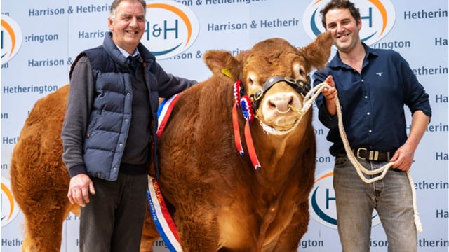 First-time vendor sells bull for 'world record' price at Carlisle