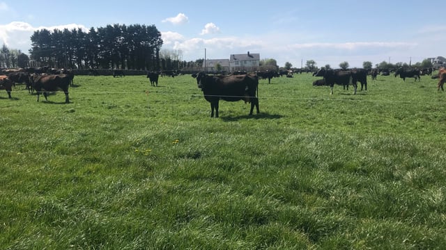 Measures to improve your farm's sustainability