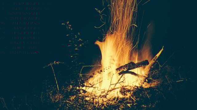 Minister of State rules out further exemption on burning green waste