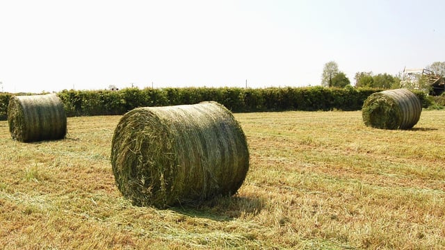 Guidelines for a safe silage harvest - Heydon