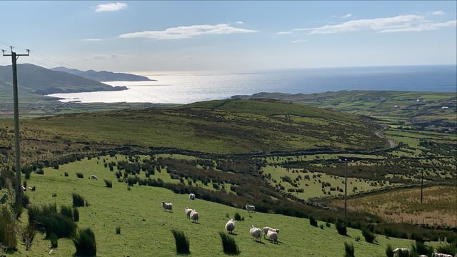 Rural singletons sought for new TV show