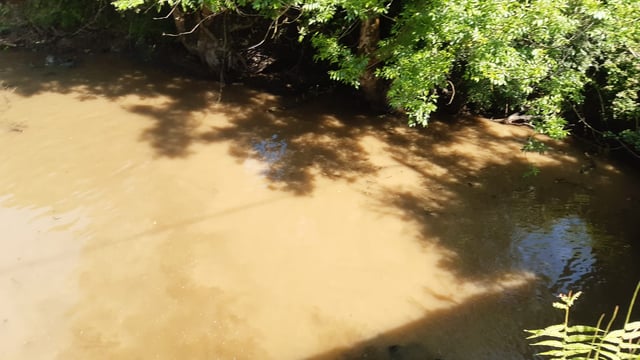 IFI: Warning issued as landowner fined for disturbance of river habitat