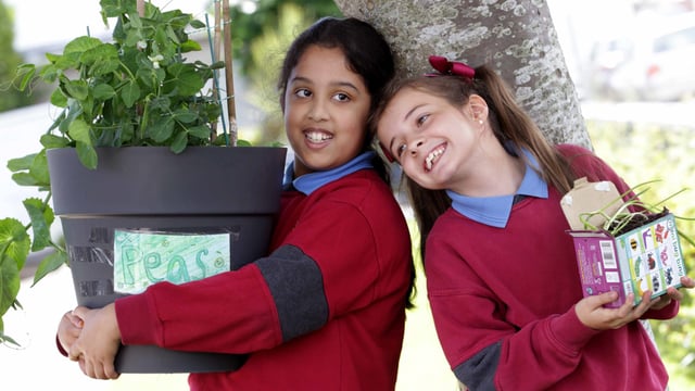 Students win €1,000 garden revamp in Big Grow competition