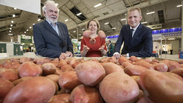 WPC declaration aims to grow sustainability profile of potatoes
