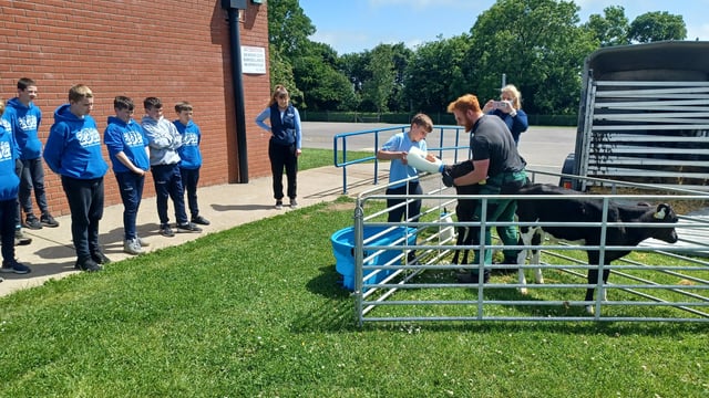 'Farmer Time' in schools to teach children about Irish food production