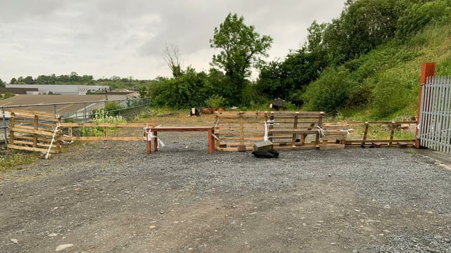 Gardaí appeal for owner of cattle found on road in Cavan