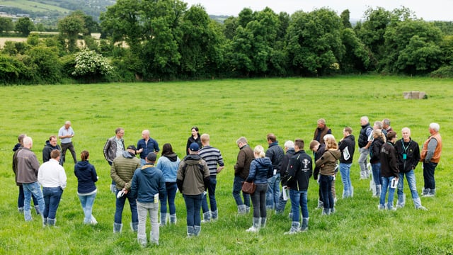 Germinal Ireland: German dairy farmers seek grass advice on Irish farm